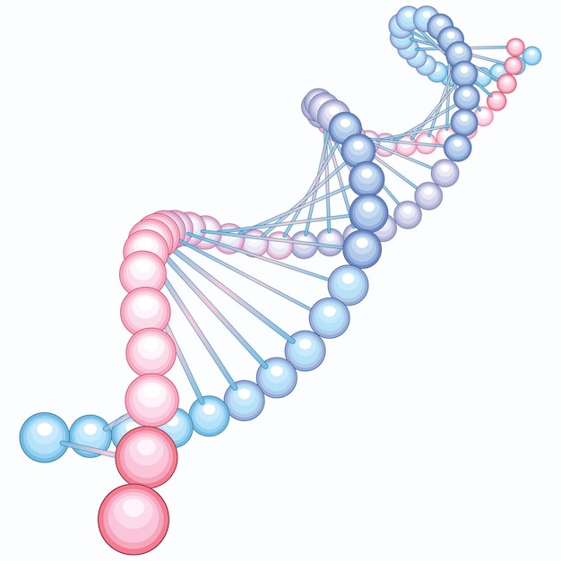 Ilustración vectorial de una estructura de ADN