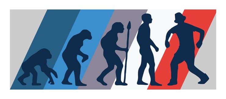 Vector ilustración vectorial de evolución de la bailarina