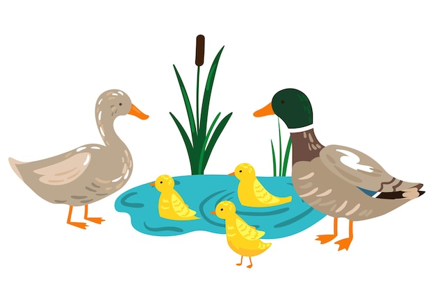Ilustración vectorial de la familia de patos con patitos en el estanque
