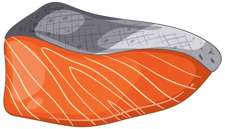 Vector ilustración vectorial del filete de salmón fresco