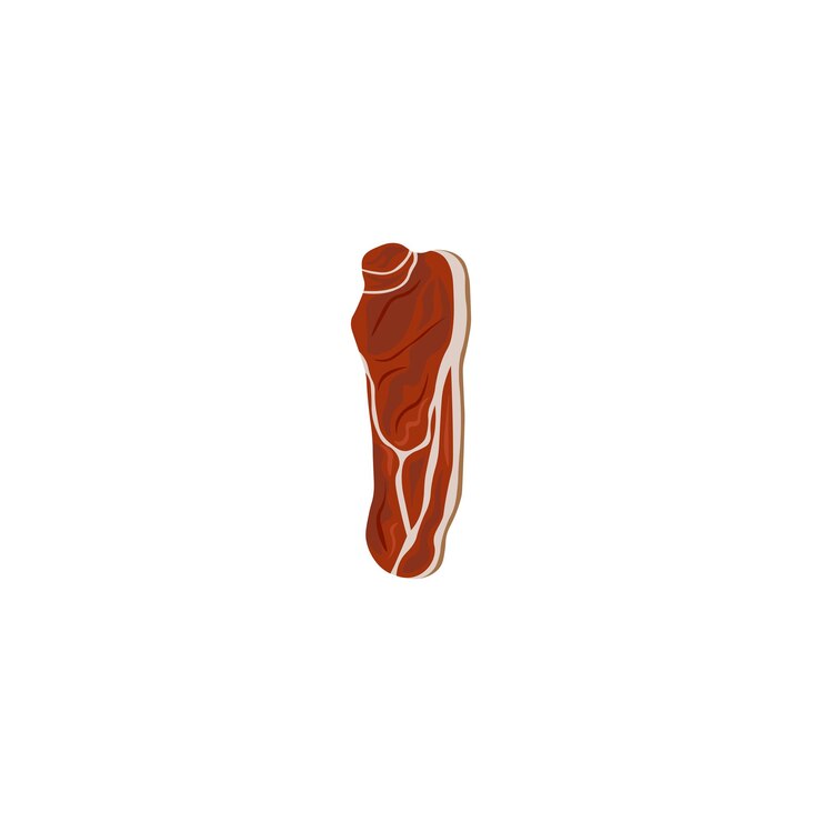Vector ilustración vectorial de filetes de carne cruda filete fresco y crudo aislado para cocinar
