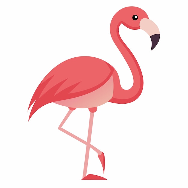 Ilustración vectorial de flamenco rosado sobre un fondo blanco