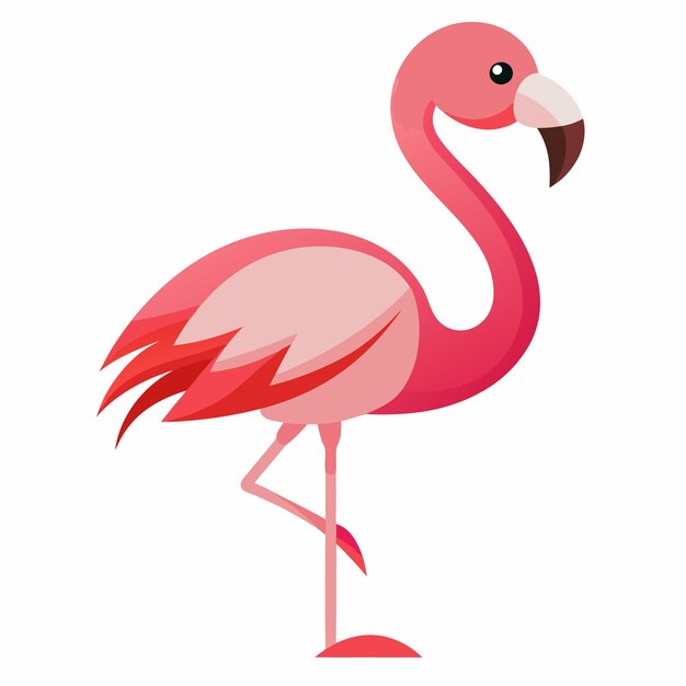 Ilustración vectorial de flamenco rosado sobre un fondo blanco