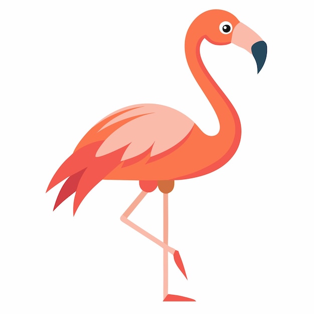 Ilustración vectorial de flamenco rosado sobre un fondo blanco