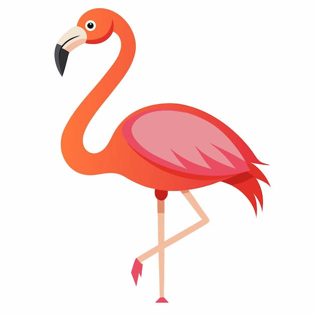 Ilustración vectorial de flamenco rosado sobre un fondo blanco