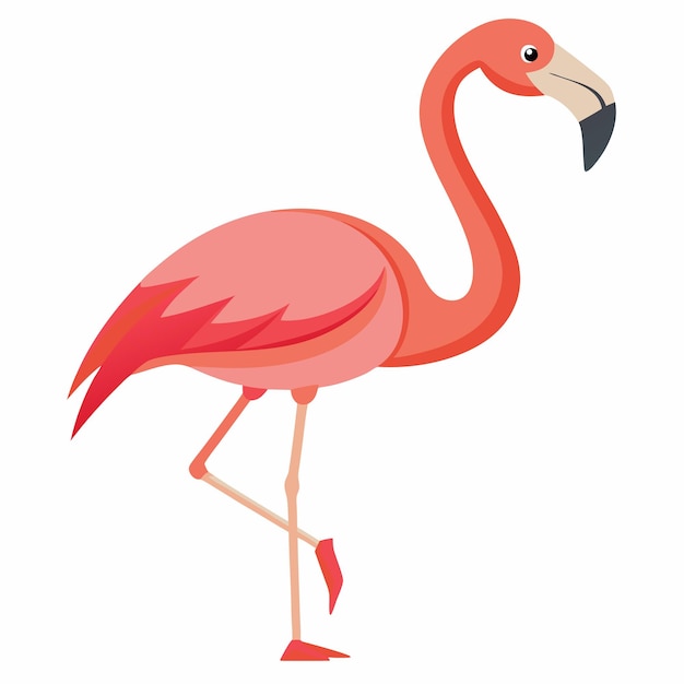 Ilustración vectorial de flamenco rosado sobre un fondo blanco