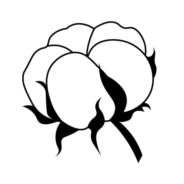 Ilustración vectorial de una flor de algodón