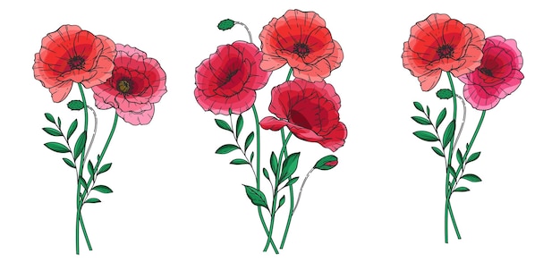 Ilustración vectorial de la flor de amapola amapolas rojas sobre fondo blanco diseño del día de la memoria botánico