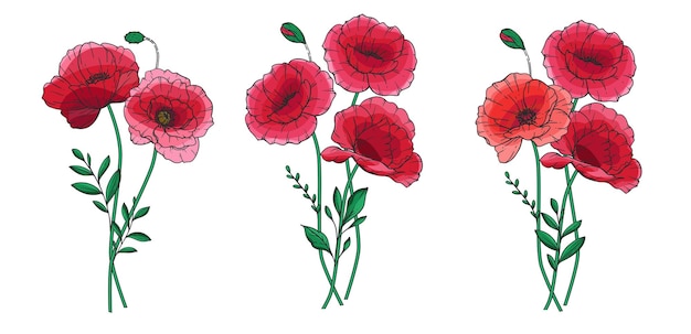 Ilustración vectorial de la flor de amapola amapolas rojas sobre fondo blanco diseño del día de la memoria botánico