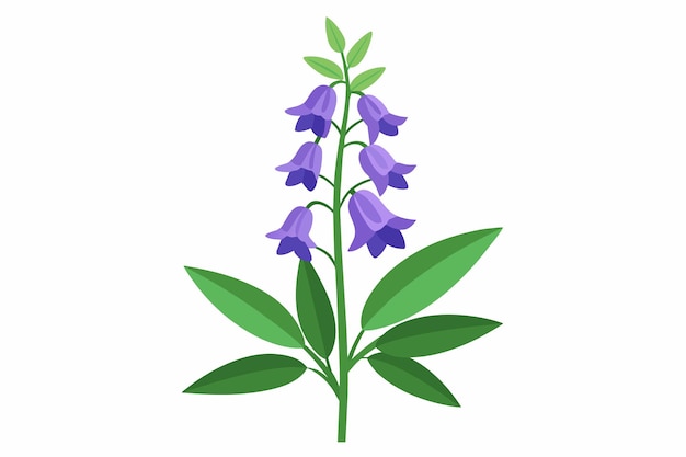Ilustración vectorial de la flor de la capucha