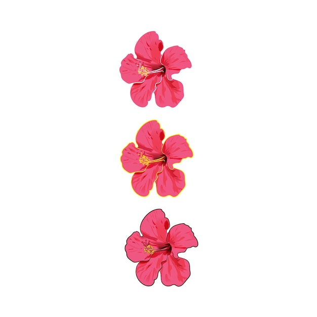 Ilustración vectorial de la flor hawaiana, el hibisco y la rosa china