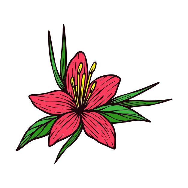 Ilustración vectorial de la flor del hibisco dibujada a mano