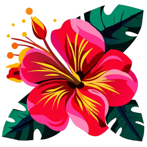 Vector ilustración vectorial de una flor de hibisco o de una flor floral de hibisco rosa