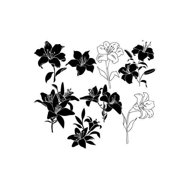 Ilustración vectorial de la flor de lirio blanco y negro Icono vectorial