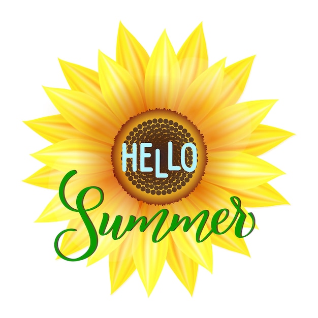 Ilustración vectorial de flor de sol Hola verano