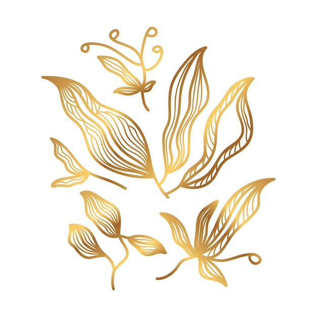 Ilustración vectorial floral dorada con estilo de línea Flores dibujadas a mano de lujo