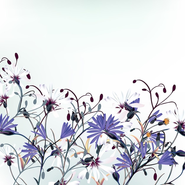 Ilustración vectorial floral con flores de campo