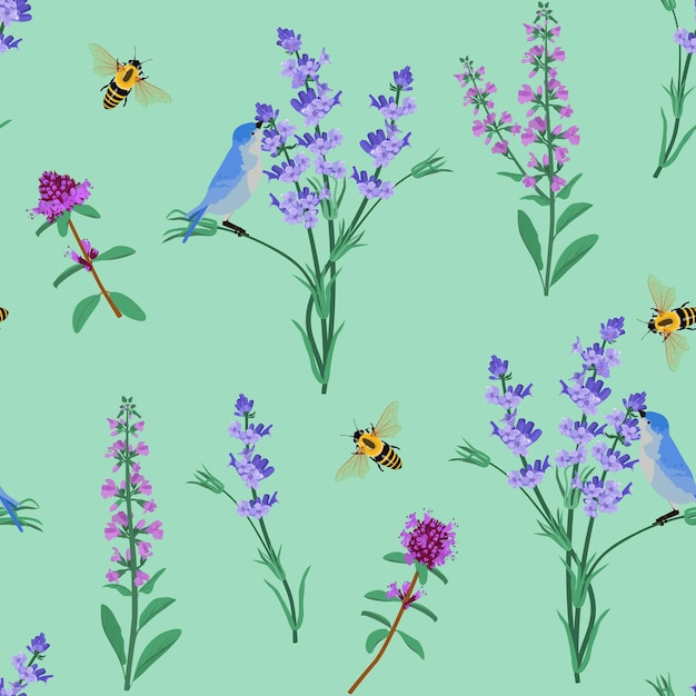 Ilustración vectorial floral Impresión sin costuras con abejas y pájaros de tomillo de lavanda sobre un fondo verde