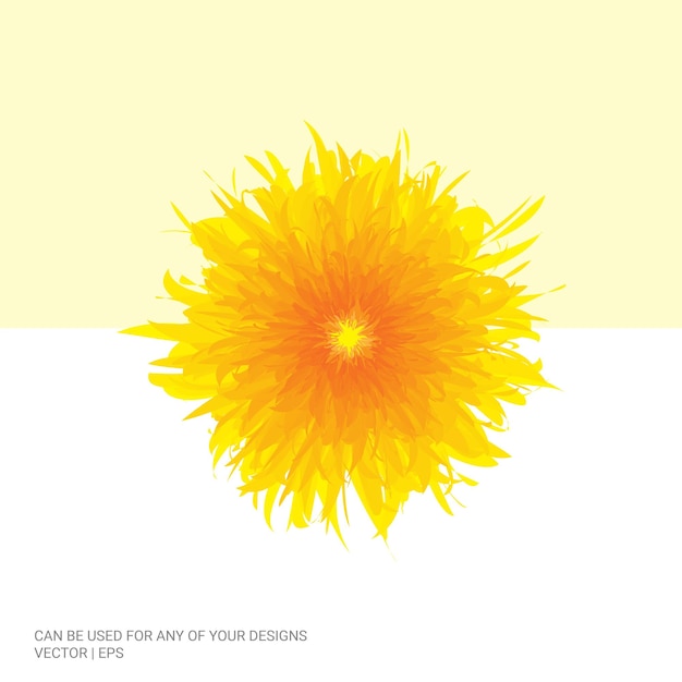 Ilustración vectorial de flores abstractas de colores sobre fondo blanco