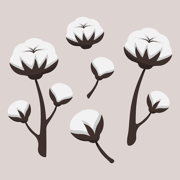 Ilustración vectorial de flores de algodón con bolas de algodon blanco esponjoso en tallos de color marrón oscuro