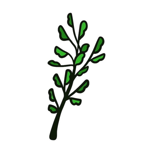 Ilustración vectorial de flores botánicas dibujada a mano