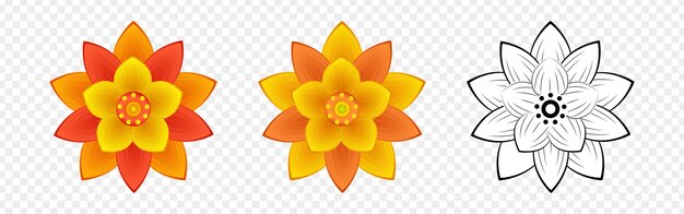 Ilustración vectorial de flores en color y contorno en un fondo transparente