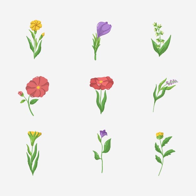 Vector ilustración vectorial de flores dibujada a mano