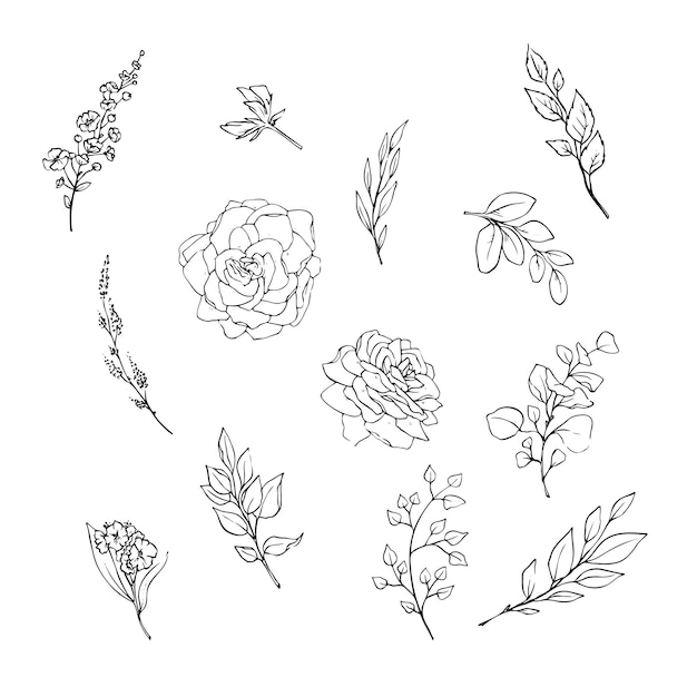 Vector ilustración vectorial de flores y hojas en estilo doodle handdrawn