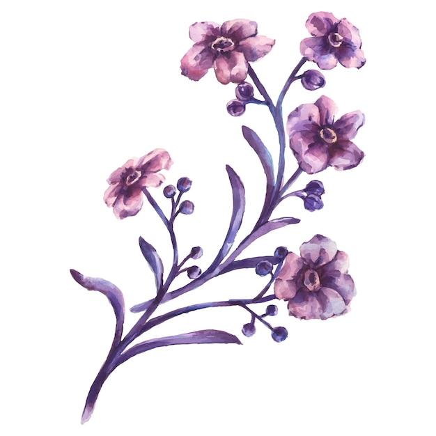 Ilustración vectorial de flores pintada a mano con acuarela Elemento floral sobre fondo blanco