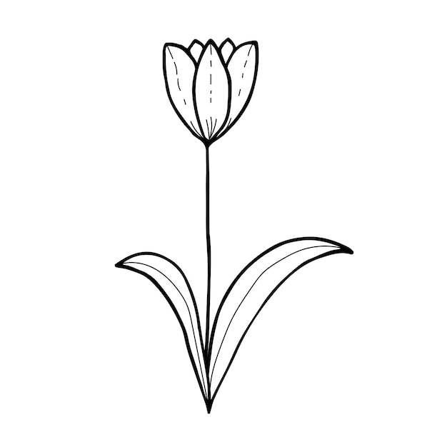 Ilustración vectorial de flores y ramas dibujadas a mano