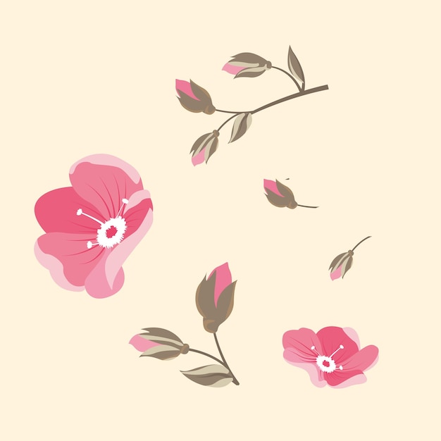 Ilustración vectorial de las flores rosadas en flor
