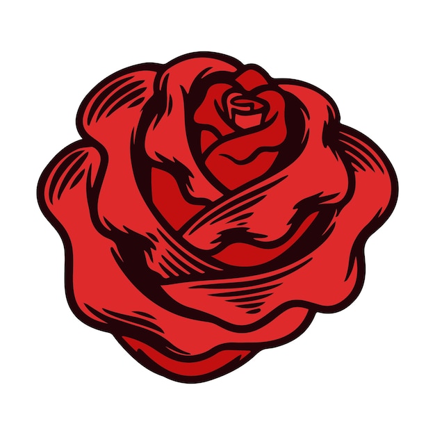 Ilustración vectorial de flores de rosas antiguas dibujadas a mano