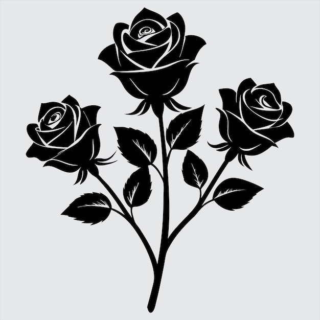 Ilustración vectorial de flores de rosas blancas y negras Conjunto de iconos de rosas simples