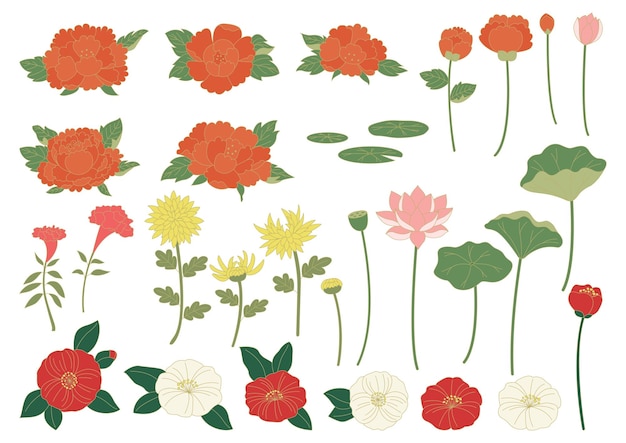 Vector ilustración vectorial de las flores tradicionales coreanas