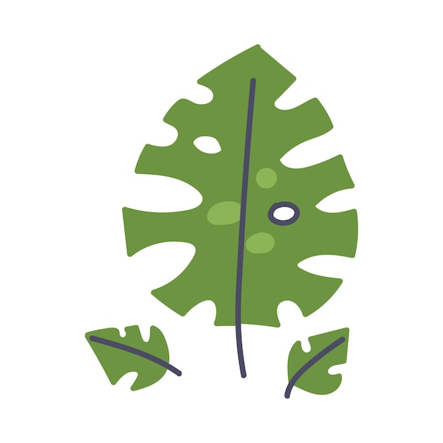 Ilustración vectorial de fondo blanco aislada de una hoja de planta en el tallo