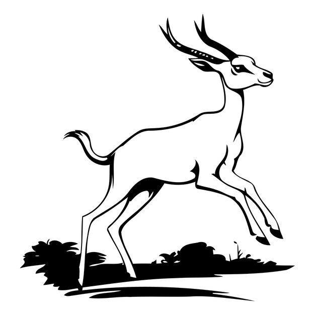 Vector ilustración vectorial en fondo blanco de la gacela antílope africana