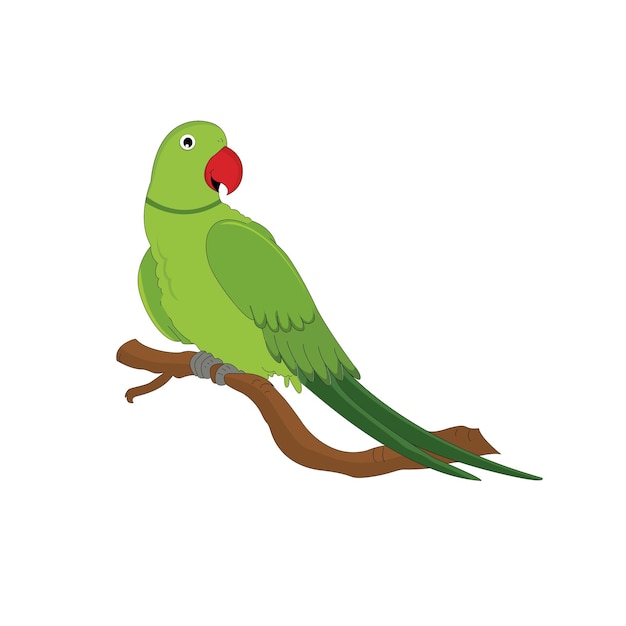 Ilustración vectorial de fondo blanco de un hermoso loro verde