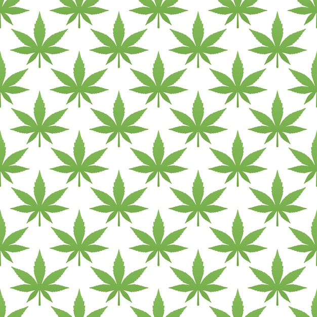 Ilustración vectorial de fondo blanco con el patrón sin costuras de las hojas verdes de cannabis