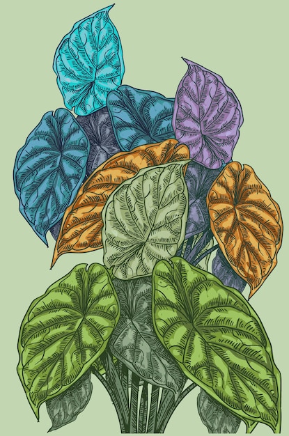 Ilustración vectorial de fondo floral dibujada a mano