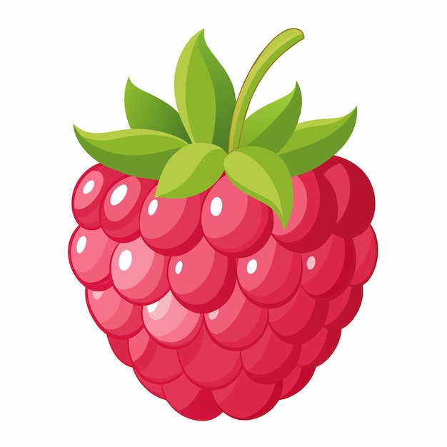 una ilustración vectorial de frambuesa roja