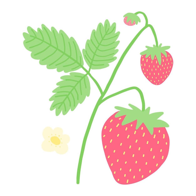 Ilustración vectorial de fresas maduras con hojas verdes sobre un fondo blanco vibrante y fresco