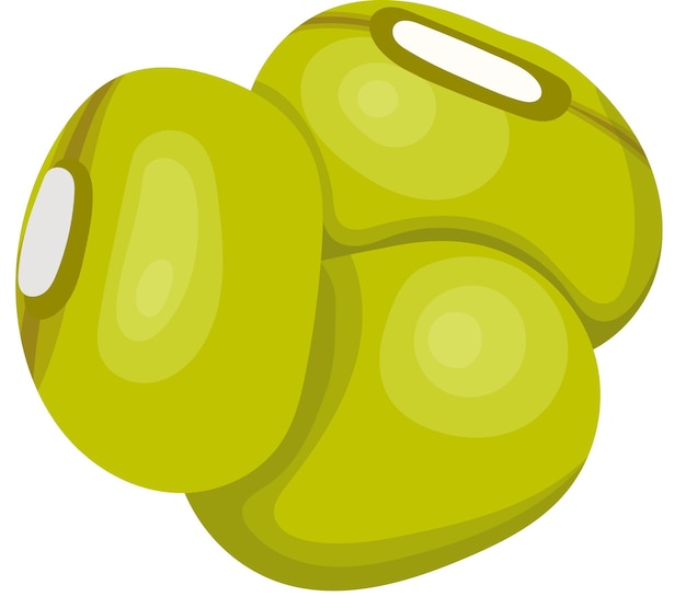 Ilustración vectorial de frijoles verdes crudos