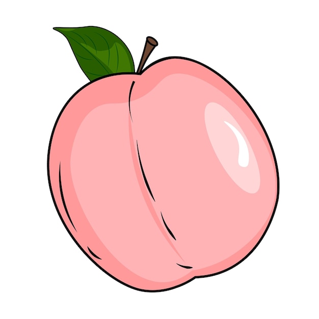 Ilustración vectorial de una fruta de durazno