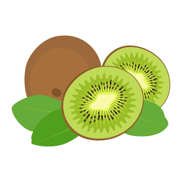 Ilustración vectorial de la fruta del kiwi aislada en fondo blanco Media fruta entera y hojas