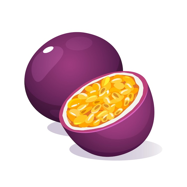 Vector ilustración vectorial de la fruta de la pasión tropical granadilla maracuya aislada sobre un fondo blanco