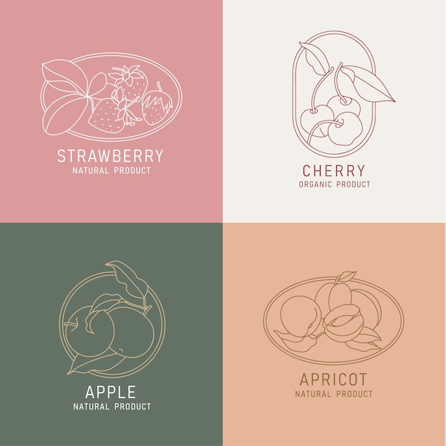 Ilustración vectorial frutas y bayas estilo minimalista vintage Composición de conjunto de logotipos en estilo botánico retro