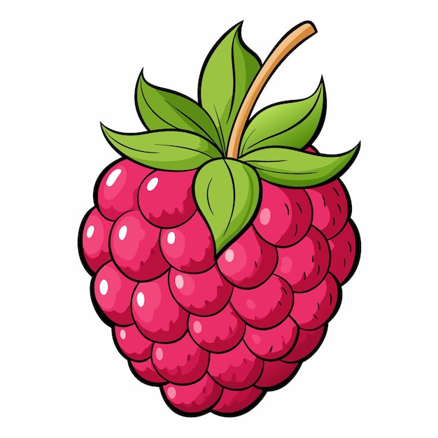 Ilustración vectorial de frutas de frambuesa dibujada a mano