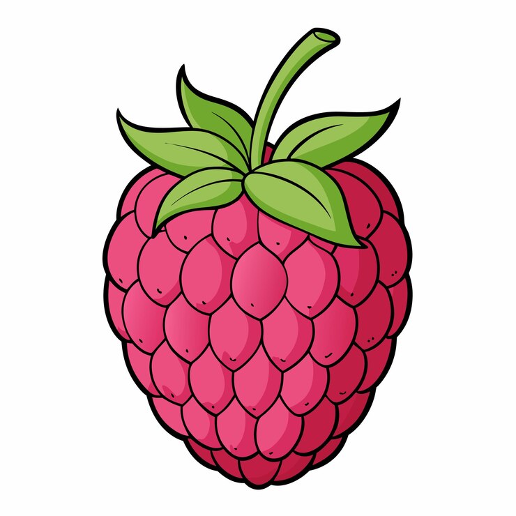 Vector ilustración vectorial de frutas de frambuesa dibujada a mano