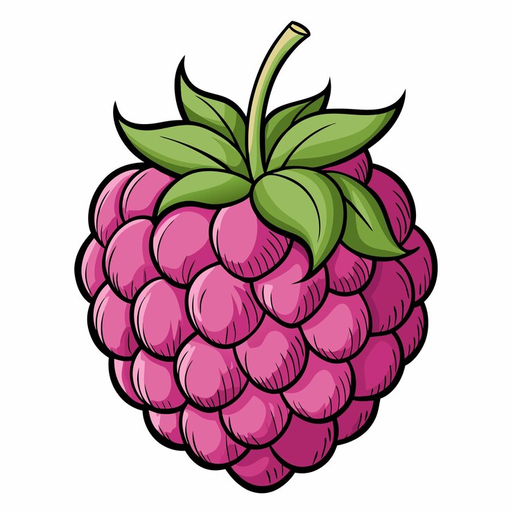 Vector ilustración vectorial de frutas de frambuesa dibujada a mano