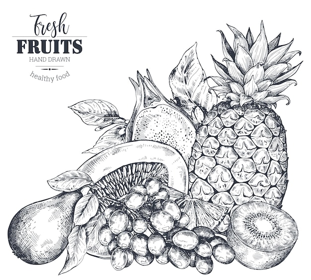 Vector ilustración vectorial de frutas frescas vectoriales dibujadas a mano en estilo boceto